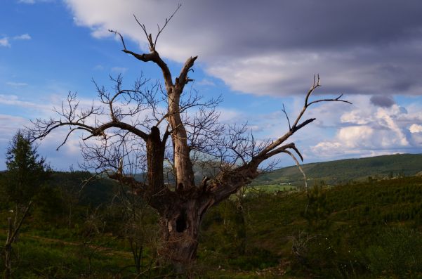 Cenários e Paisagens