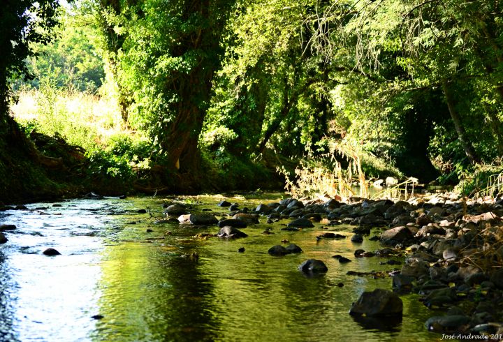  DSC 0005 1