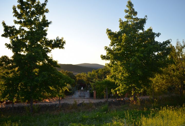  Vista para as encostas da Serra de São Mamede por entre as árvores da Quinta - Natureza em estado puro