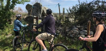 Bike rent and tours