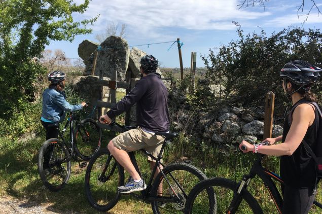 Aluguer e passeios de Bicicleta